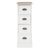 FURNITURE Premier Storage | Austin 4 Drawers Chest