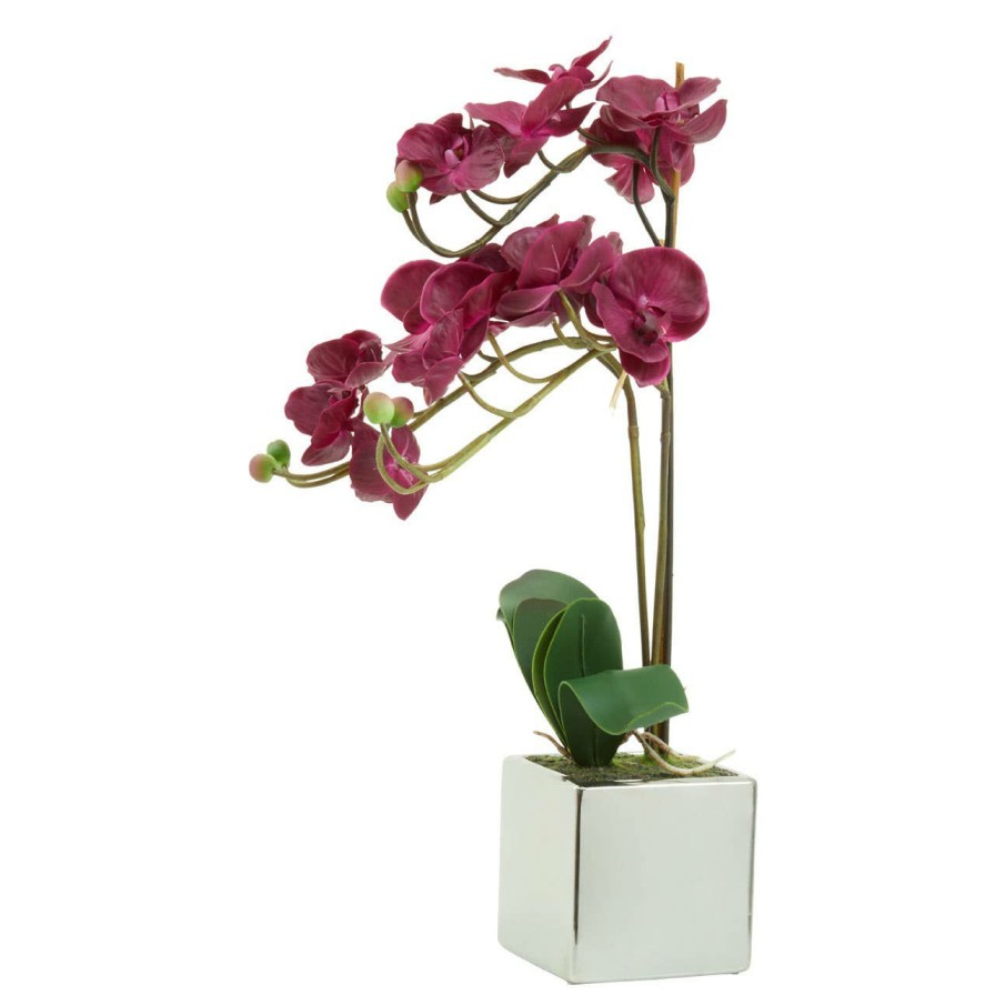 Accessories Fiori Faux Flowers and Plants | Fiori Aubergine Orchid Plant