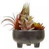 Accessories Fiori Faux Flowers and Plants | Fiori Mixed Succulents In Grey Ceramic Pot