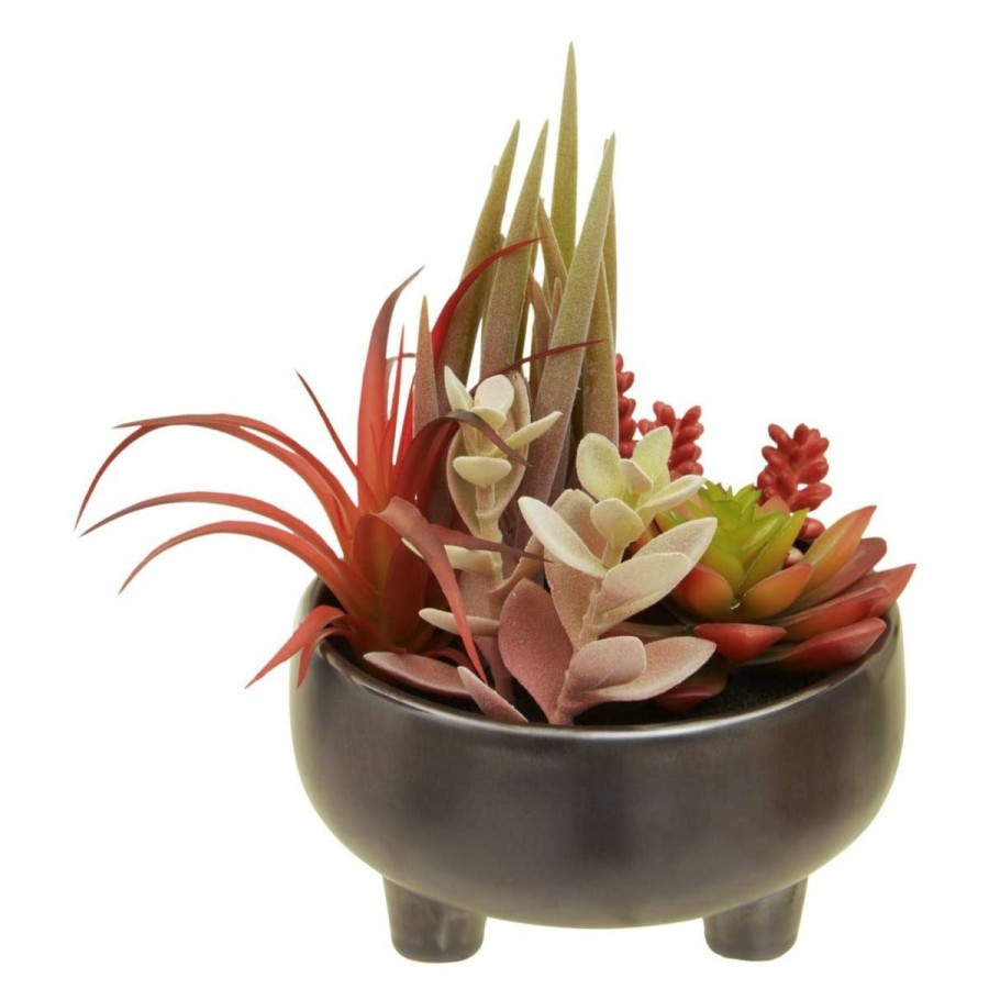 Accessories Fiori Faux Flowers and Plants | Fiori Mixed Succulents In Grey Ceramic Pot