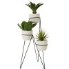 Accessories Fiori Faux Flowers and Plants | Fiori Set Of 3 Succulents With Metal Stand