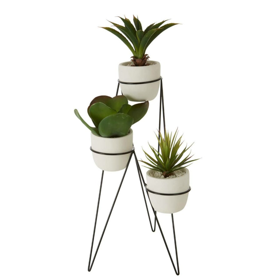 Accessories Fiori Faux Flowers and Plants | Fiori Set Of 3 Succulents With Metal Stand