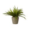 Accessories Fiori Faux Flowers and Plants | Fiori Boston Fern Succulent