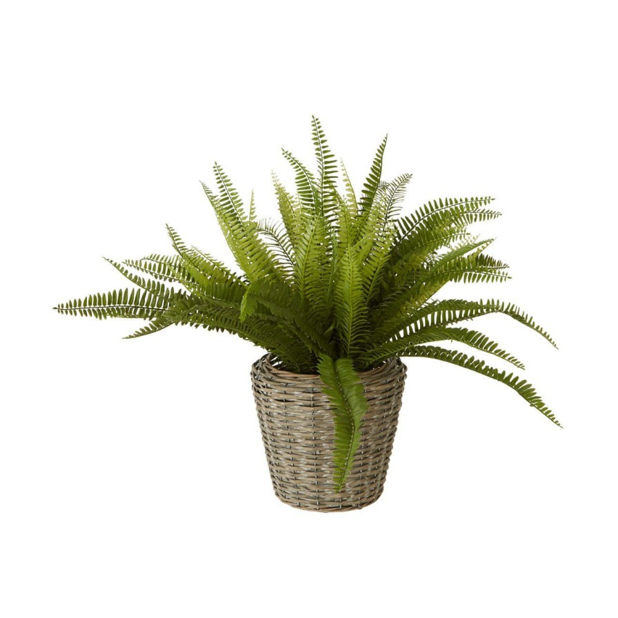 Accessories Fiori Faux Flowers and Plants | Fiori Boston Fern Succulent