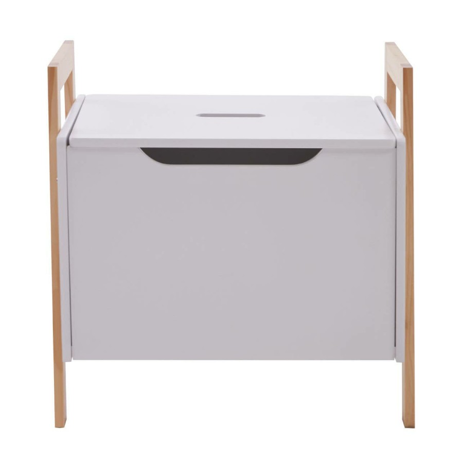 FURNITURE Premier Trunks | Rostok Storage Box