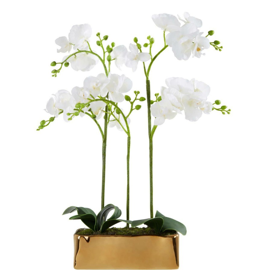 Accessories Fiori Faux Flowers and Plants | Fiori White Orchid Plant