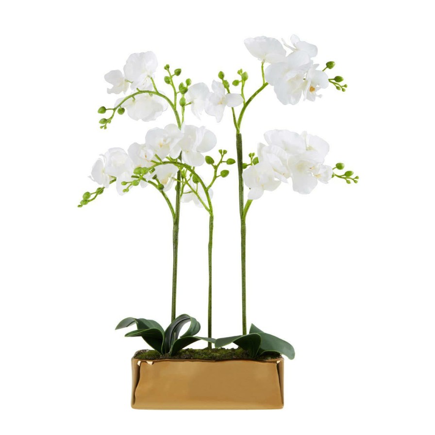 Accessories Fiori Faux Flowers and Plants | Fiori White Orchid Plant