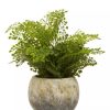 Accessories Fiori Faux Flowers and Plants | Fiori Fern With Cement Pot