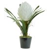 Accessories Fiori Faux Flowers and Plants | Fiori White Tropical Plant