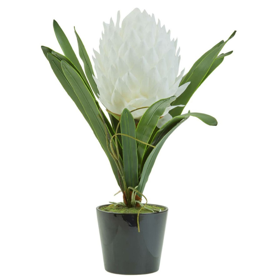 Accessories Fiori Faux Flowers and Plants | Fiori White Tropical Plant