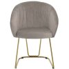 FURNITURE Premier Dining Chairs | Veneto Mink Velvet Dinner Chair