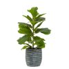 Accessories Fiori Faux Flowers and Plants | Fiori Ficus Tree