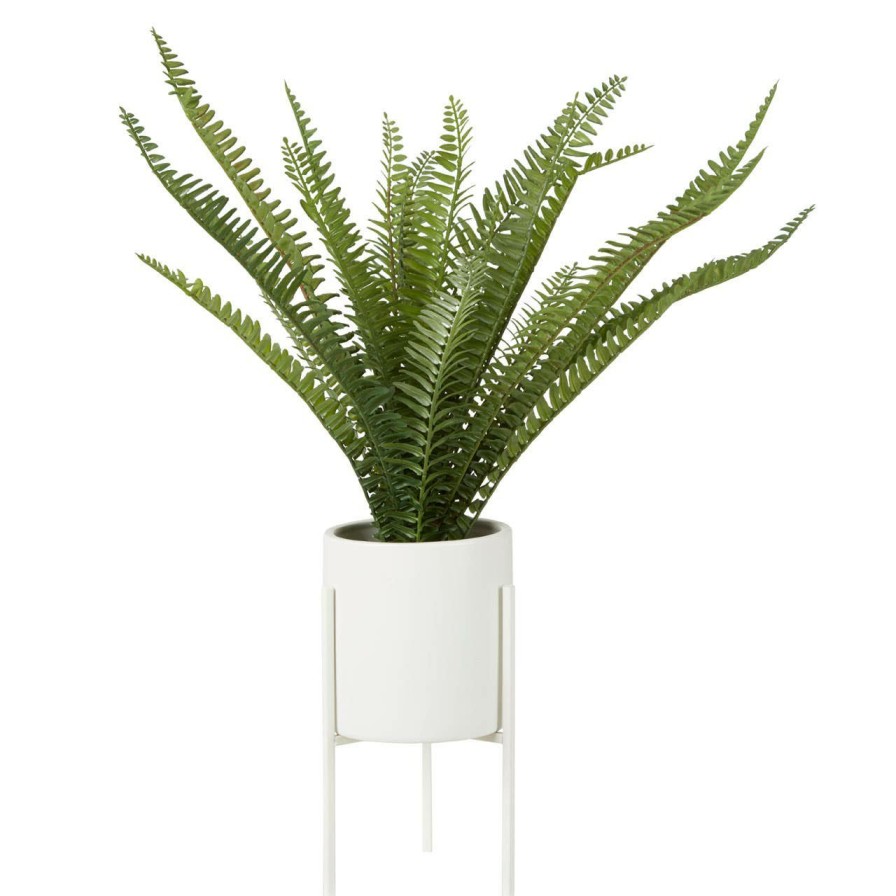 Accessories Fiori Faux Flowers and Plants | Fiori Fern With White Cement And Iron Pot