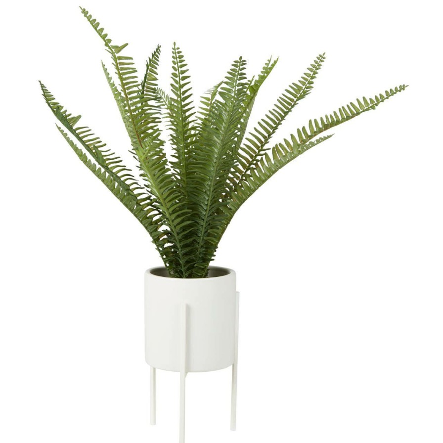 Accessories Fiori Faux Flowers and Plants | Fiori Fern With White Cement And Iron Pot