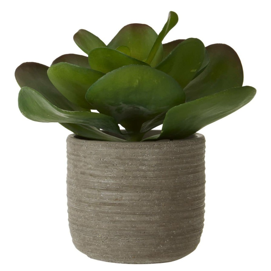 Accessories Fiori Faux Flowers and Plants | Fiori Lotus Succulent