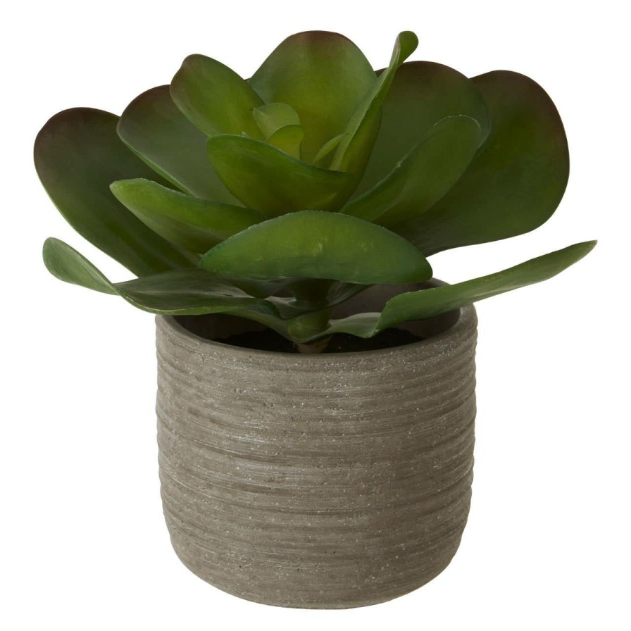 Accessories Fiori Faux Flowers and Plants | Fiori Lotus Succulent