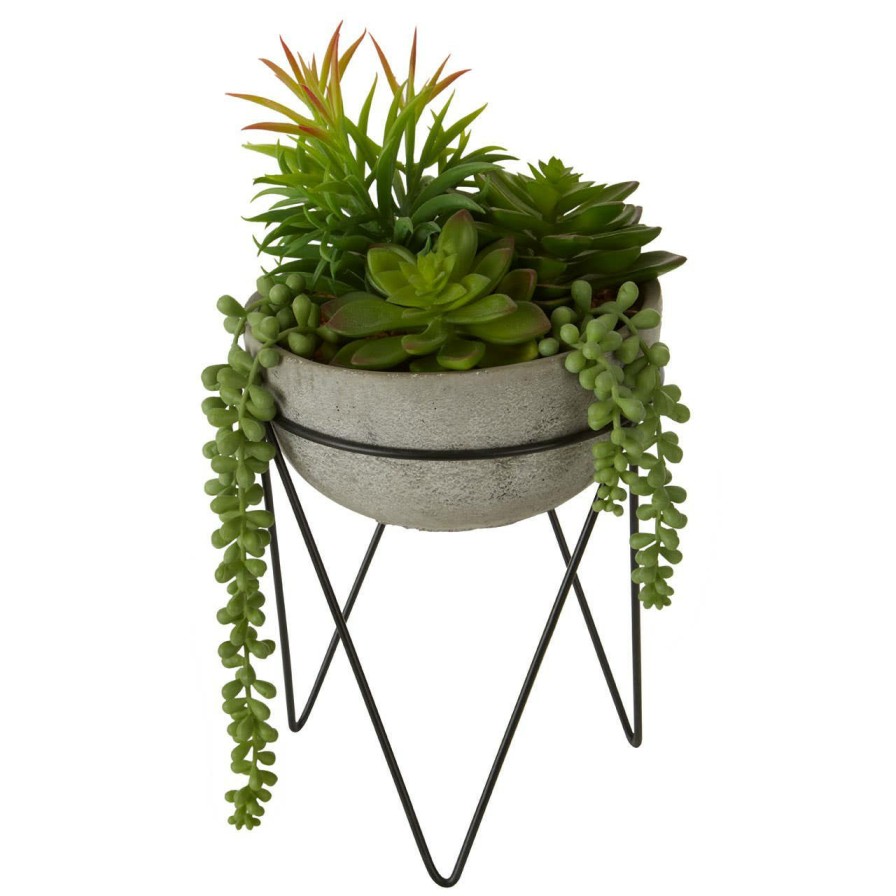 Accessories Fiori Faux Flowers and Plants | Fiori Mixed Succulent With Metal Stand