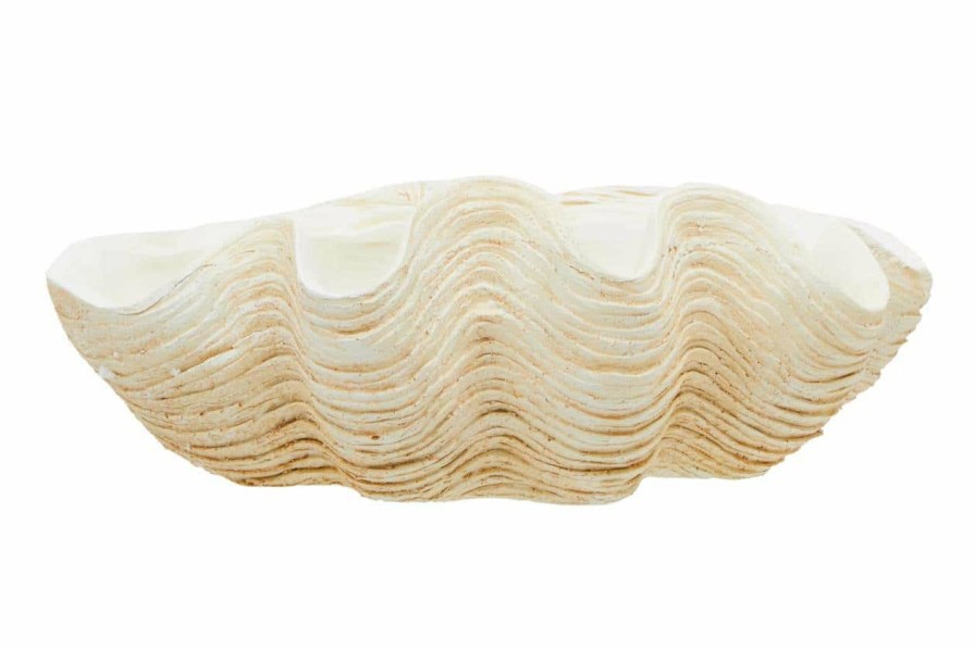 Accessories Fifty Five South Decorative Bowls Plates and Bottles | Byron Large Clam Shell Bowl