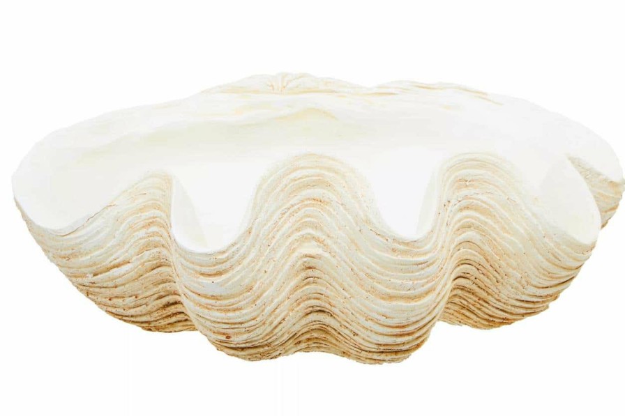 Accessories Fifty Five South Decorative Bowls Plates and Bottles | Byron Large Clam Shell Bowl