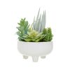 Accessories Fiori Faux Flowers and Plants | Fiori Mixed Succulents In Large Ceramic Pot