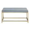 FURNITURE Premier Benches | Allure Gold And Powder Blue Bench