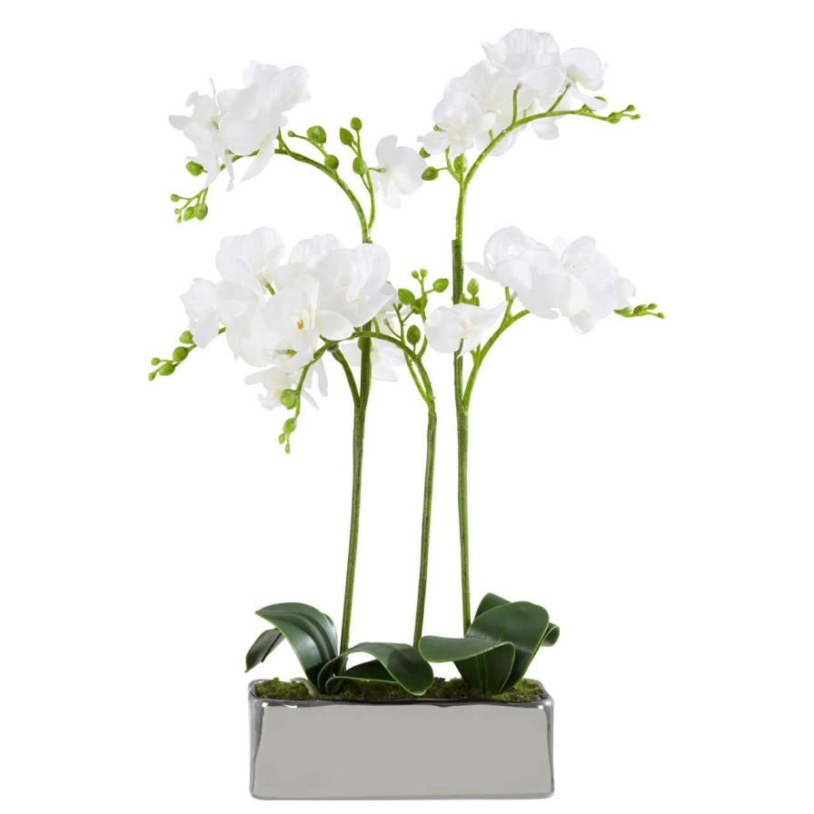 Accessories Fiori Faux Flowers and Plants | Fiori White Orchid Plant In Rectangular Pot