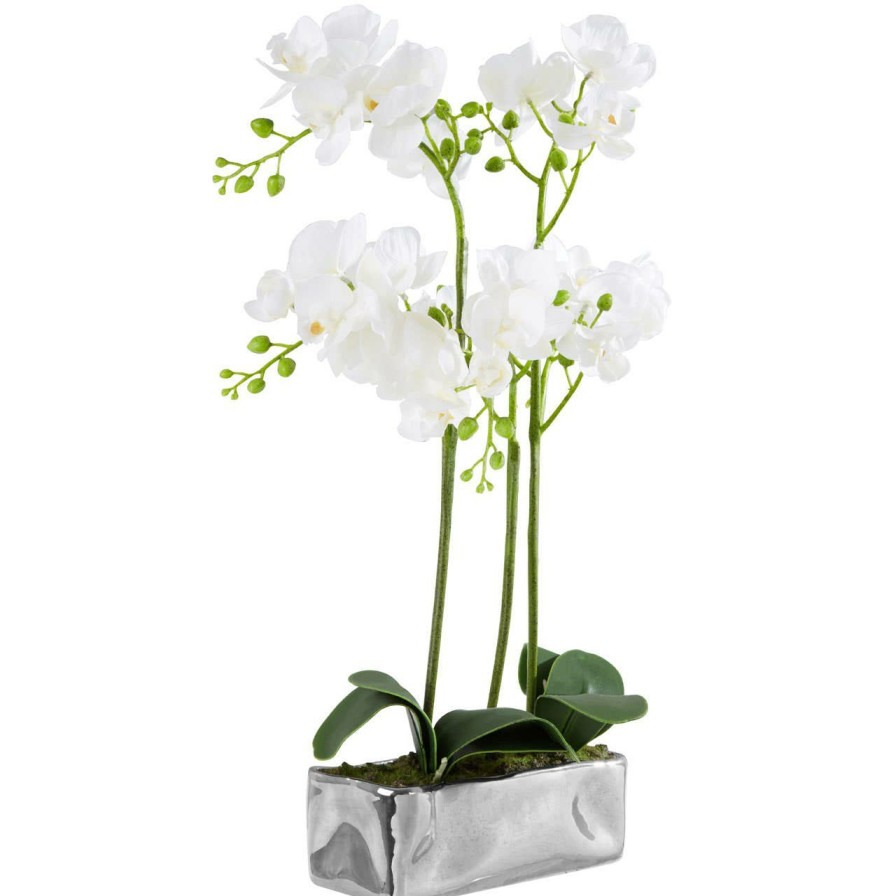 Accessories Fiori Faux Flowers and Plants | Fiori White Orchid Plant In Rectangular Pot