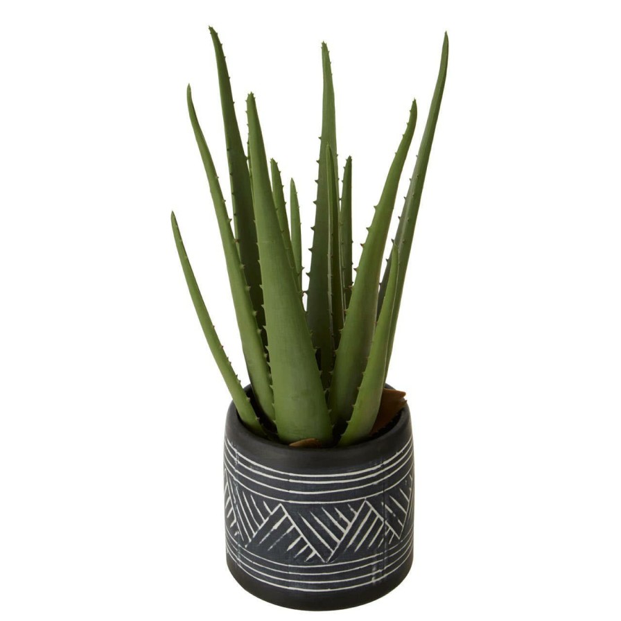 Accessories Fiori Faux Flowers and Plants | Fiori Aloe Vera Succulent